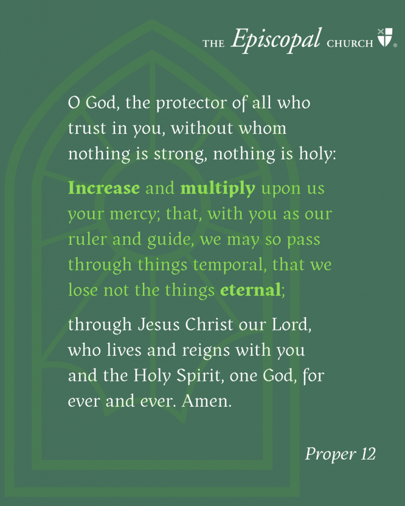 text for proper 12